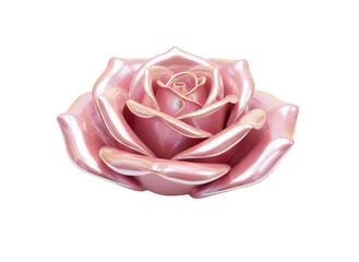 Stunning pink rose with shiny petals on black background