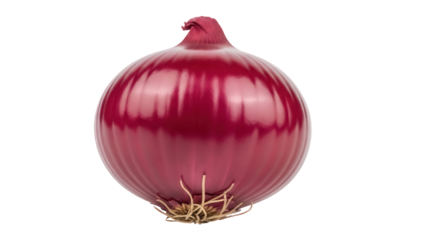 Vibrant red onion isolated PNG on transparent background, fresh vegetable for cooking and healthy eating, culinary ingredient