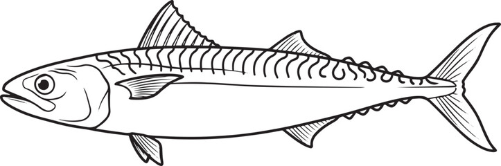 silhouette of clean vector of Mackerel isolated on white background © Roman