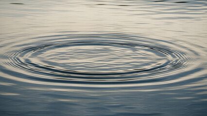 Concentric ripples gracefully expand outwards across the tranquil surface of calm water, creating a mesmerizing pattern in soft natural light.