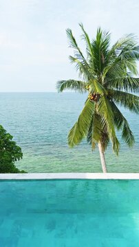 View from luxury villa at sunny day, sun loungers for sunbathing, umbrellas from the sun, pillows for swimming in the pool, palm tree on background