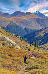 Obraz premium Hiker on Colorado's Lost Man Trail near Independence Pass at 12,000 feet elevation