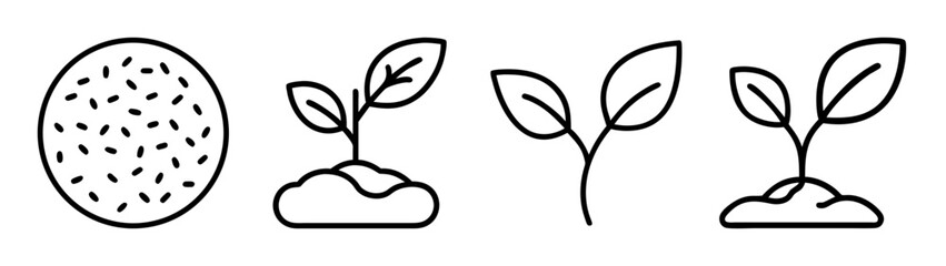Seed germination and plant growth process outline icons collection