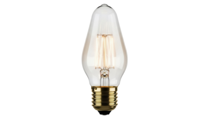 Vintage Edison light bulb PNG isolated on transparent background, antique style filament lamp for retro design and decoration