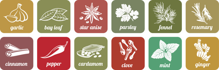 Collection of flat design spice and herb icons including garlic bay leaf star anise parsley fennel rosemary cinnamon pepper cardamom clove mint and ginger for culinary use