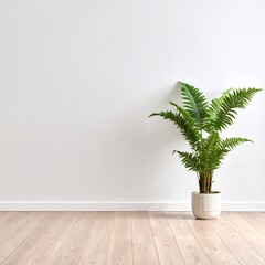 A vibrant green potted plant stands gracefully in the corner of a spacious, sunlit room, its leaves casting gentle shadows on the bare walls.