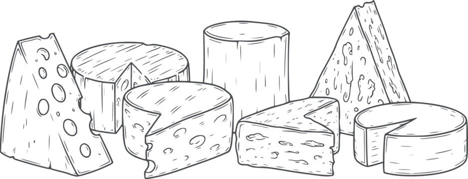 Various types of cheese in clean black and white line