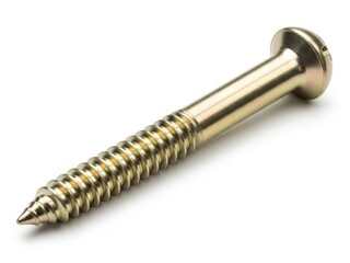 Metal screw with pointed tip and threaded shaft