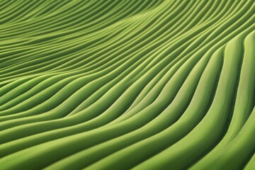 Green farm banner with organic abstract design showing wavy green lines that represent fields and natural products in an ecological setting