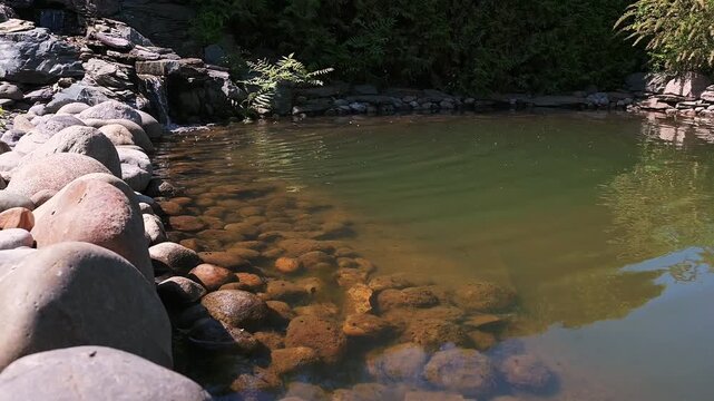 serene natural pond with clear water, smooth rounded stones lining the edge, lush greenery in the background, sunlight reflecting on the surface