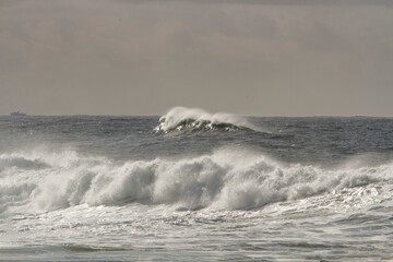 Beautiful spraying sea wave