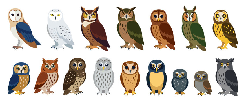 Collection of diverse owl illustrations, standing in a row, showcasing various species and colorations.
