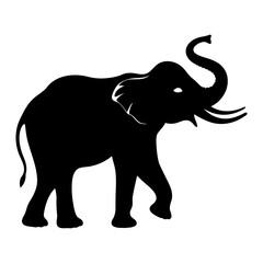Obraz premium Elephant