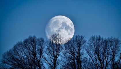 Full Moon In The Sky Above Bare Trees In Winter