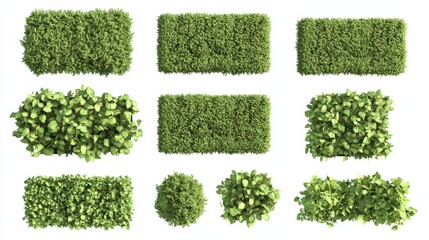 Set of hedge elements viewed from above, arranged in various shapes on a white background in a 3D render