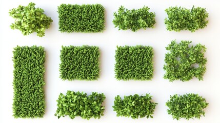 Set of hedge elements viewed from above on a white background in a 3D render for landscaping, design, and decorative purposes