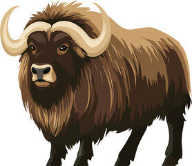 Muskox Vector on Transparent Background
