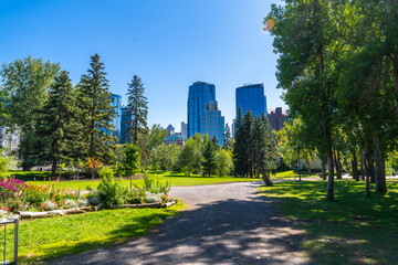 Calgary central memorial park greenery framing city skyline on sunny day