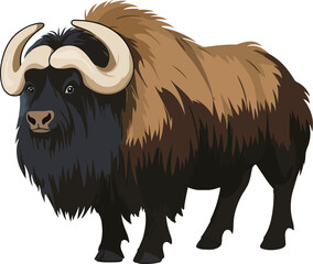 Muskox Vector on Transparent Background
