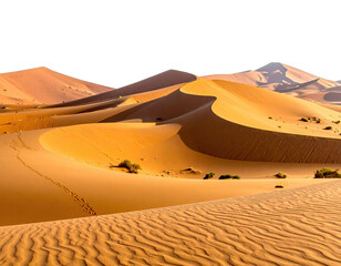Vast dunes roll across the desert landscape, bathed in warm sunlight. Footprints mark the sand