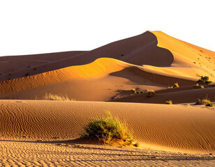 Sunny desert landscape showcasing sand dunes with shadows and vegetation in vibrant warm tones