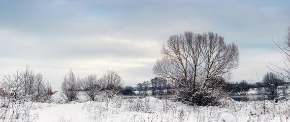 Winter rural landscape with snow-covered field bare trees and cloudy sky