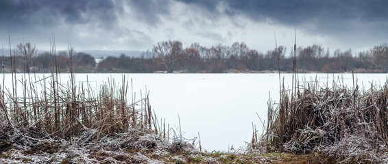 Snow-covered lake with dry reeds on shore and bare trees on horizon under dramatic cloudy sky, winter water landscape