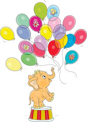 Naklejka premium Cute baby elephant launching colorful holiday balloons in a funny circus performance, vector cartoon illustration on white