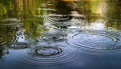 Water Ripples On The Surface Of A Pond