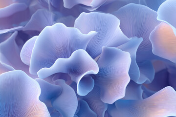 Purple oyster mushroom texture abstract background. Closeup macro view pattern for design.
