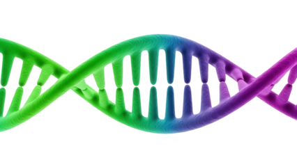Colorful DNA molecule isolated PNG on transparent background, genetic code structure for science and medical research concepts