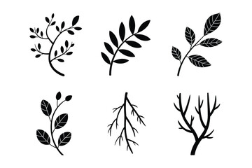 Natural Tree Branch and Leaf Foliage Silhouettes Set
