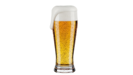 Refreshing pilsner beer in tall glass isolated PNG, golden lager with overflowing foam on transparent background, alcoholic beverage