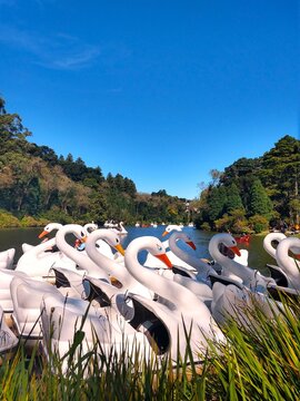 Parque de Gramado RS