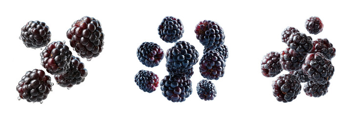 Clusters of fresh blackberries with water droplets isolated on a transparent background