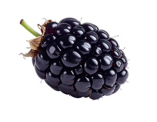 A close-up view of a plump, ripe blackberry with a stem, against a black background