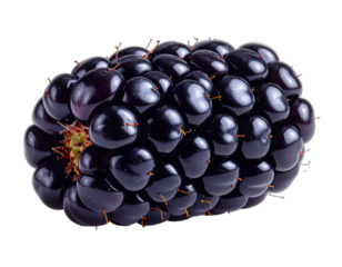 Close-up of a perfectly formed, ripe, juicy, dark purple fruit with individual segments