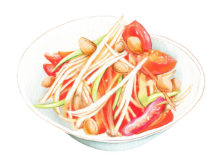 Watercolor Papaya Salad - Authentic Thai Cuisine Illustration