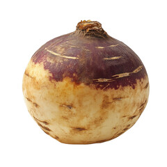 Single radish isolated on transparent background