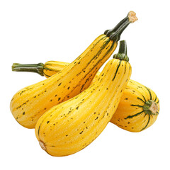 Delicata squash, isolated on transparent background