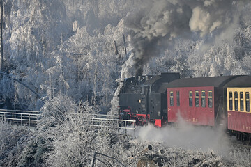 Brockenbahn im Winterwald