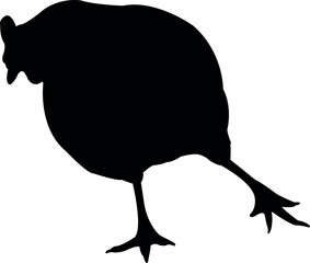 a chicken body silhouette vector