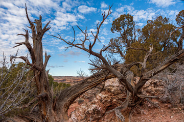 This fine art photograph captures the timeless beauty of the sandstone arches of **Arches National Park**, located just outside Moab, one of the most iconic landscapes in the American Southwest. C