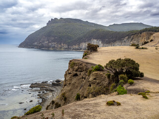 Moorland around fossil cliffs in Maria island, Tasmania