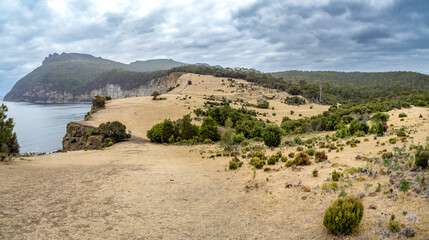 Moorland around fossil cliffs in Maria island, Tasmania © estivillml