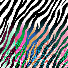 Zebra texture with colorful motion blur effects leopard texture, animal print.
