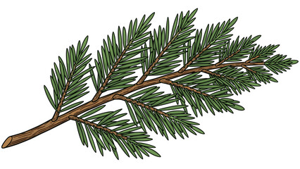 Pine Tree Branch with Green Needles 1.