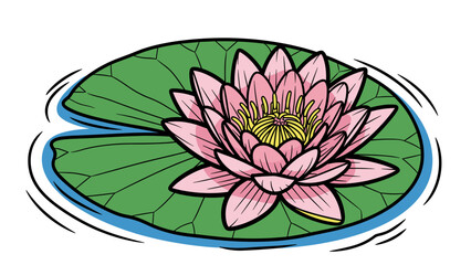 Pink Water Lily on Green Leaf.