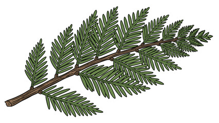 Pine Tree Branch with Green Needles.