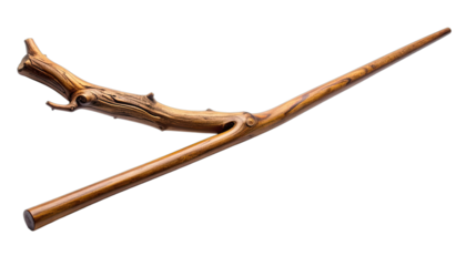 A finely crafted wooden wand or stylized branch against a stark black background.